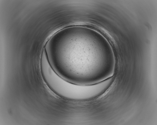 X0000112781417200908201519