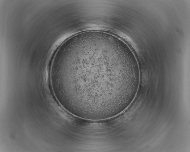X0000112781419200908201519