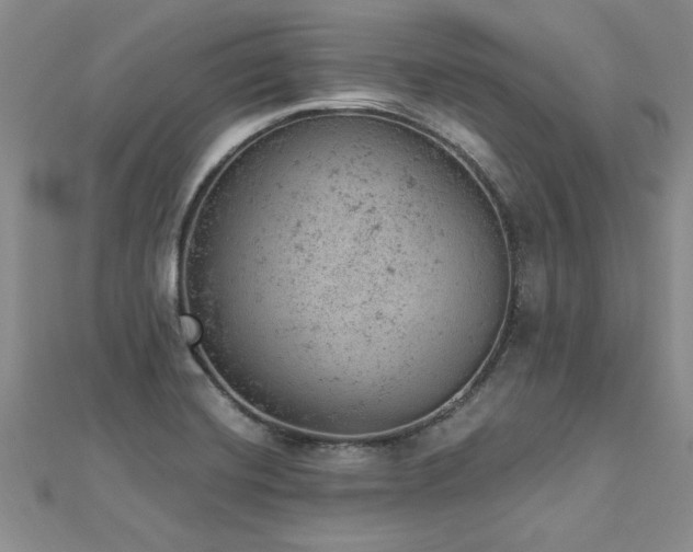 X0000112781420200908201519