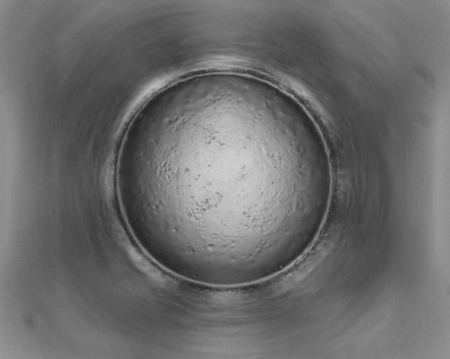 X0000112781421200908201519