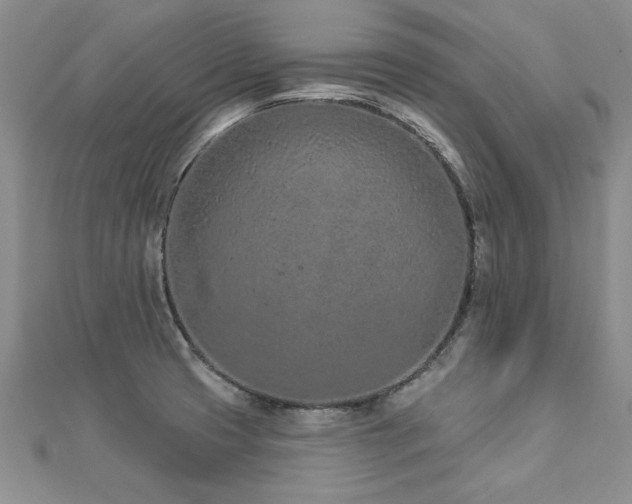 X0000112781425200908201519