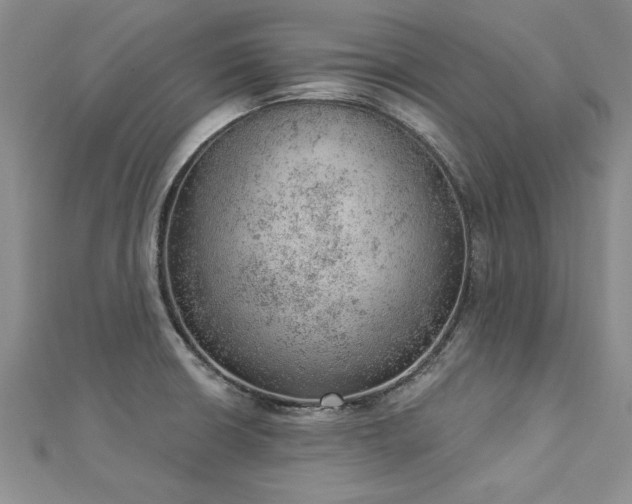X0000112781426200908201519