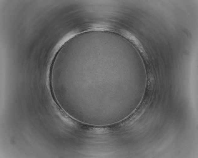 X0000112781427200908201519