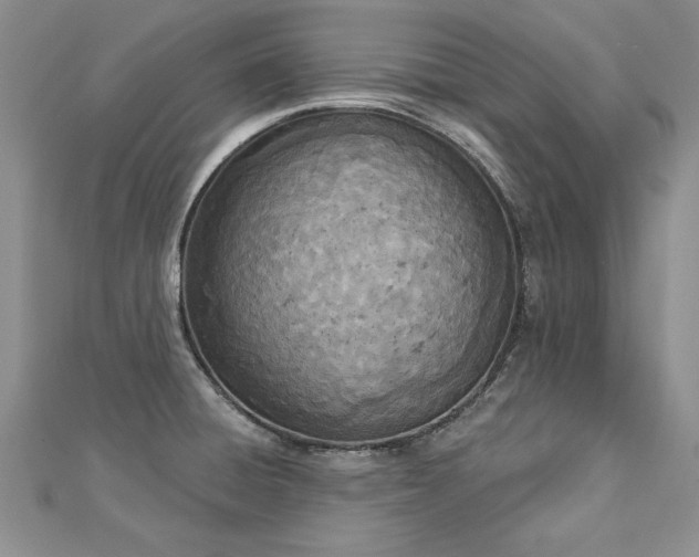 X0000112781428200908201519