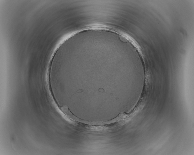 X0000112781429200908201519