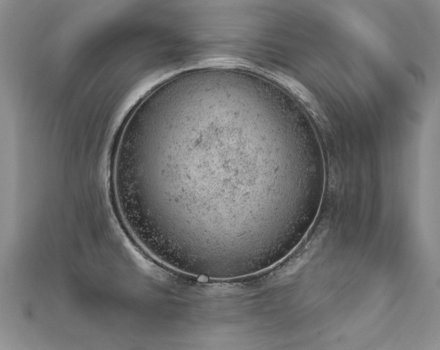X0000112781430200908201519