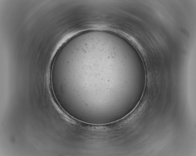 X0000112781432200908201519