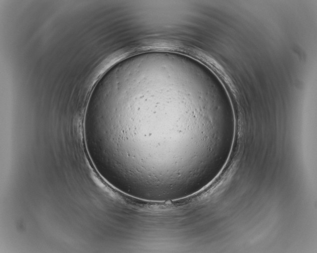 X0000112781433200908201519