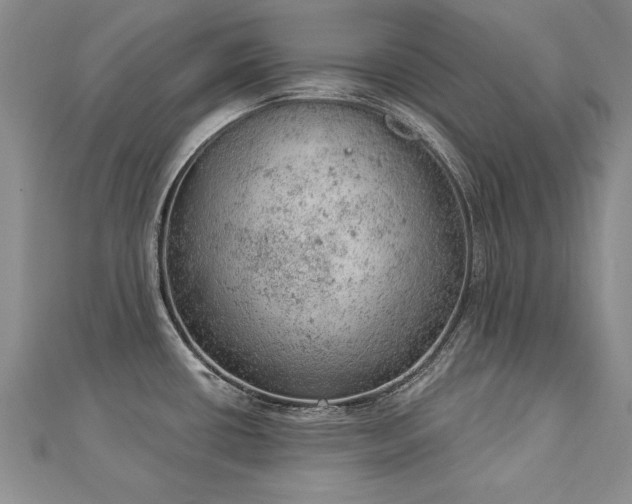 X0000112781434200908201519