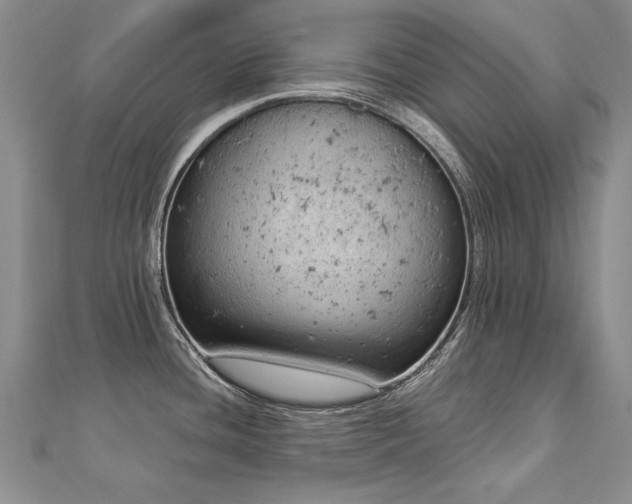 X0000112781436200908201519