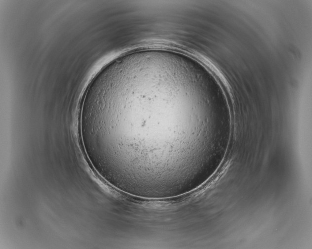 X0000112781437200908201519