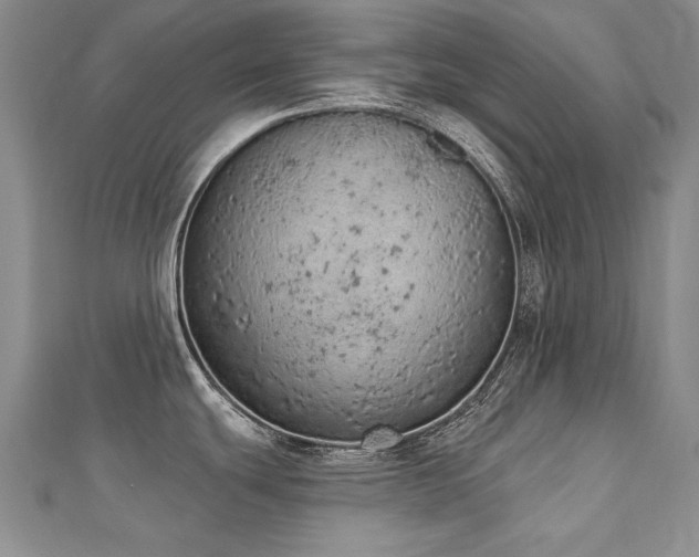 X0000112781439200908201520