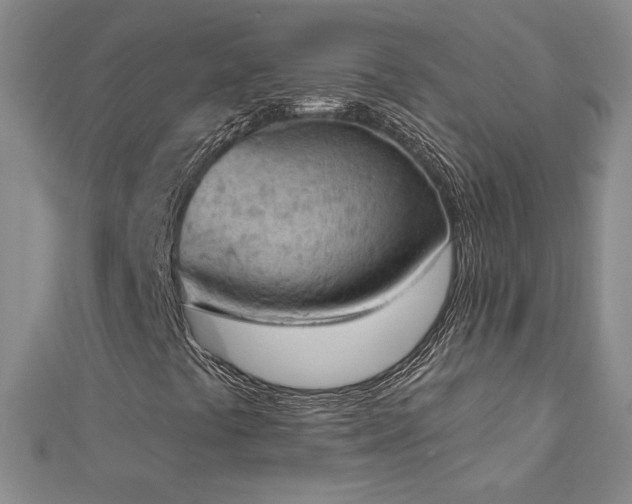 X0000112781441200908201519