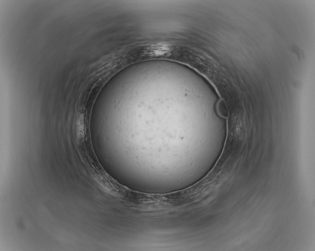 X0000112781442200908201519
