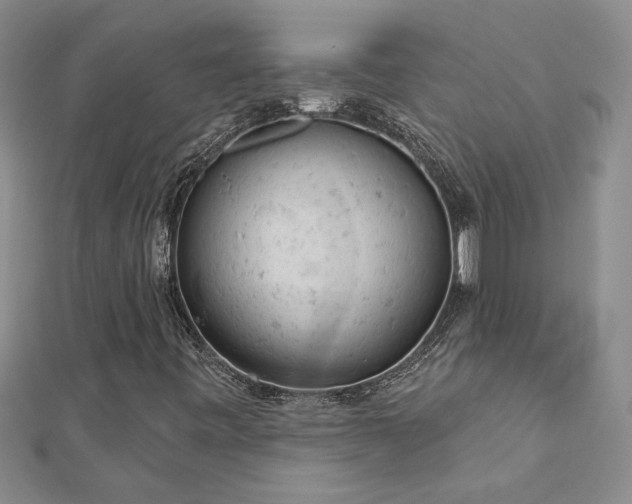 X0000112781443200908201519