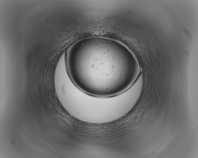 X0000112781444200908201519