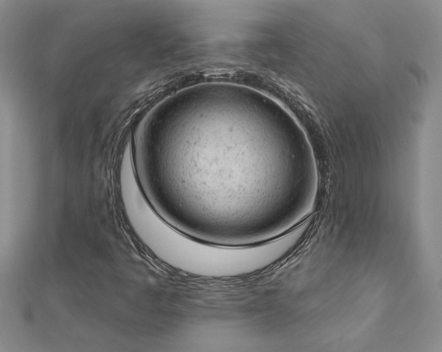 X0000112781445200908201519