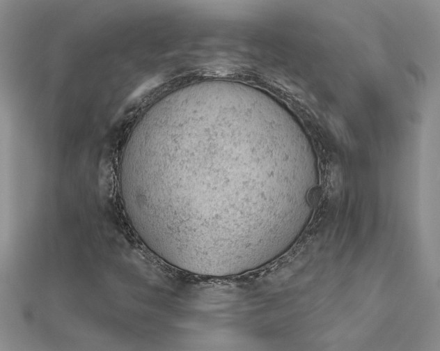 X0000112781446200908201519
