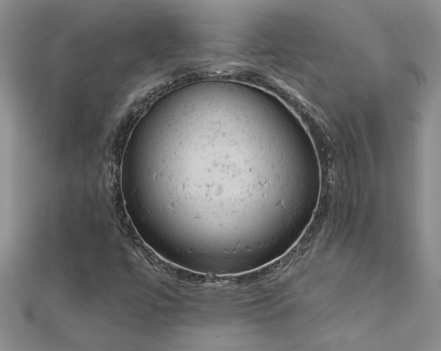 X0000112781447200908201519
