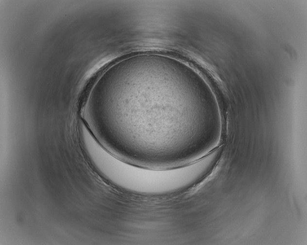 X0000112781453200908201519