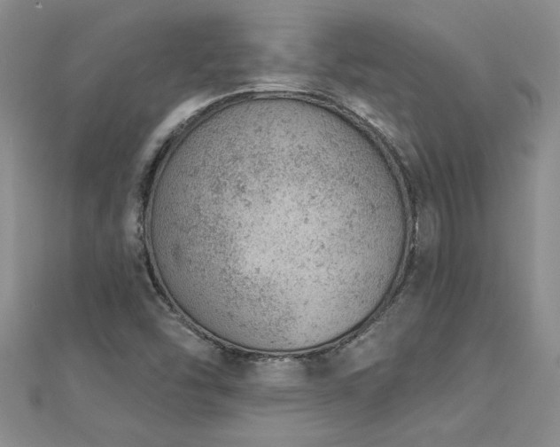 X0000112781454200908201519
