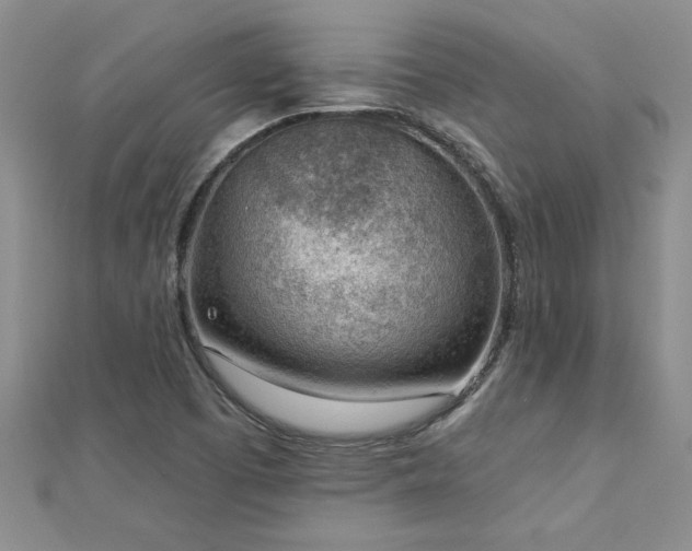 X0000112781457200908201519