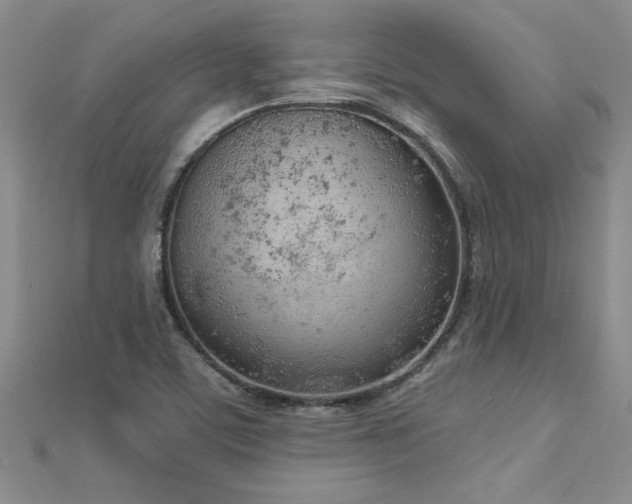 X0000112781459200908201519
