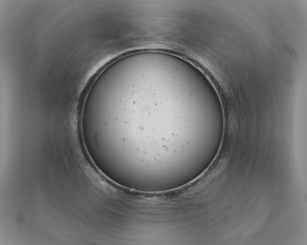 X0000112781460200908201519