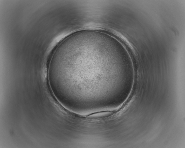 X0000112781461200908201519