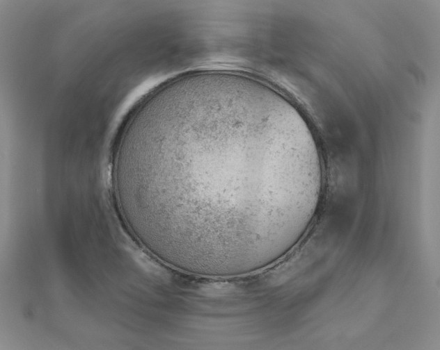 X0000112781462200908201519
