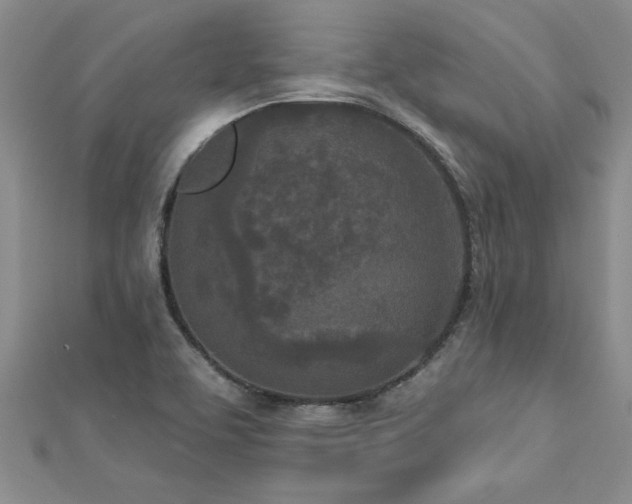 X0000112781463200908201519