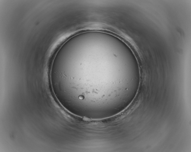 X0000112781464200908201519