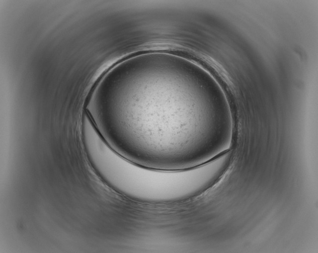 X0000112781465200908201519