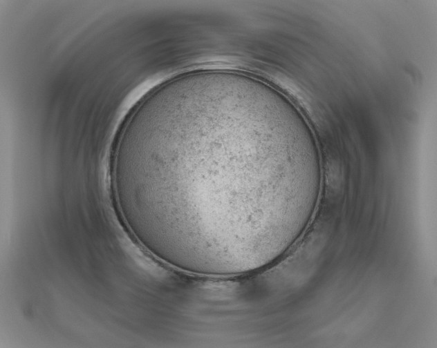 X0000112781466200908201519