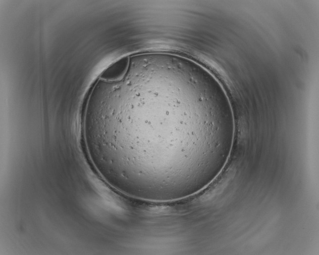 X0000112781467200908201519