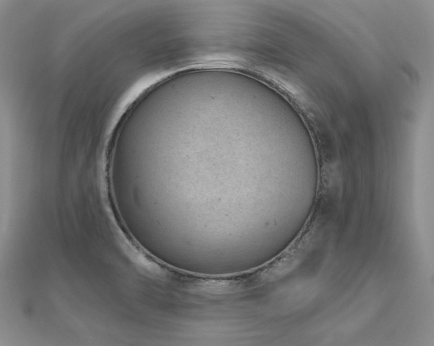 X0000112781470200908201519