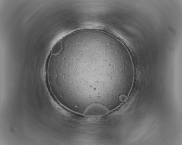 X0000112781471200908201519