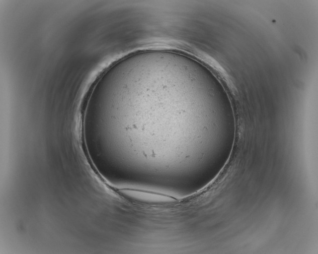 X0000112781472200908201519