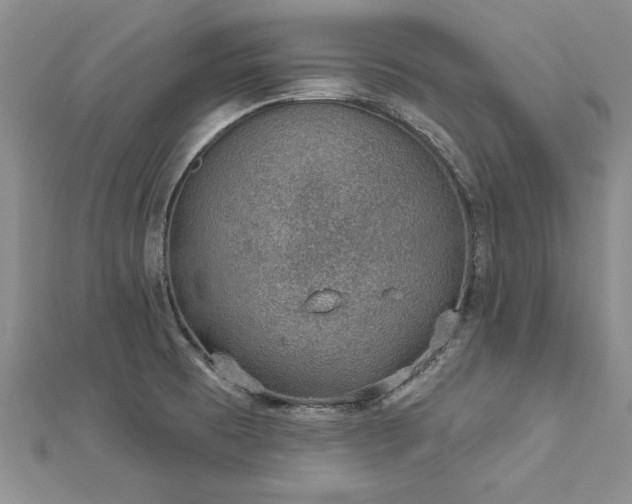 X0000112781473200908201519