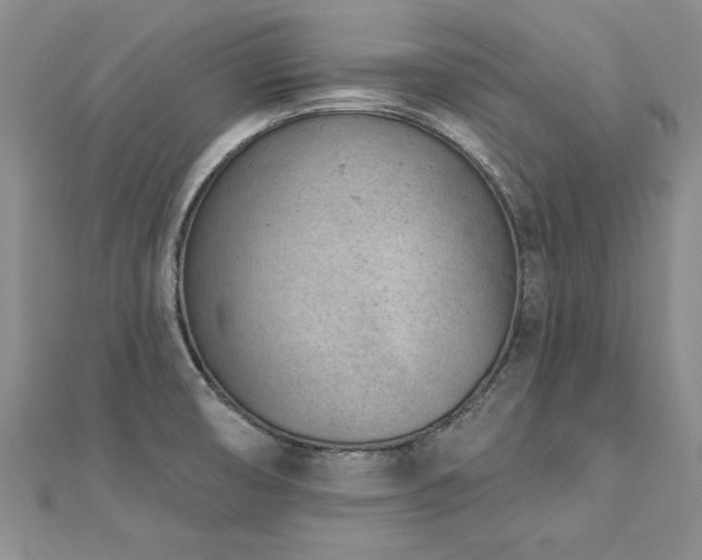 X0000112781474200908201518