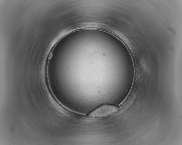 X0000112781475200908201518