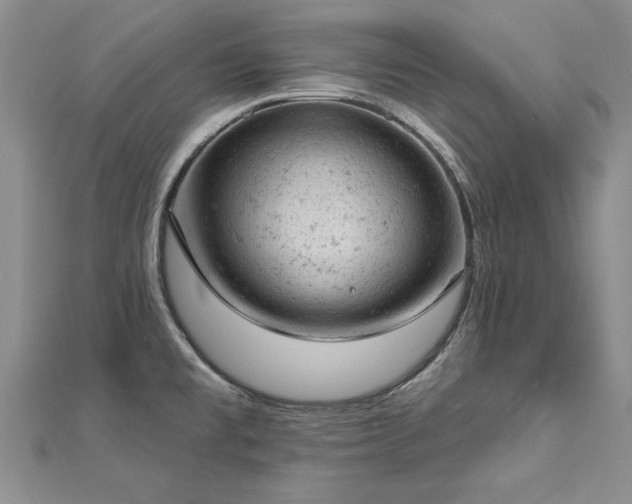 X0000112781477200908201518