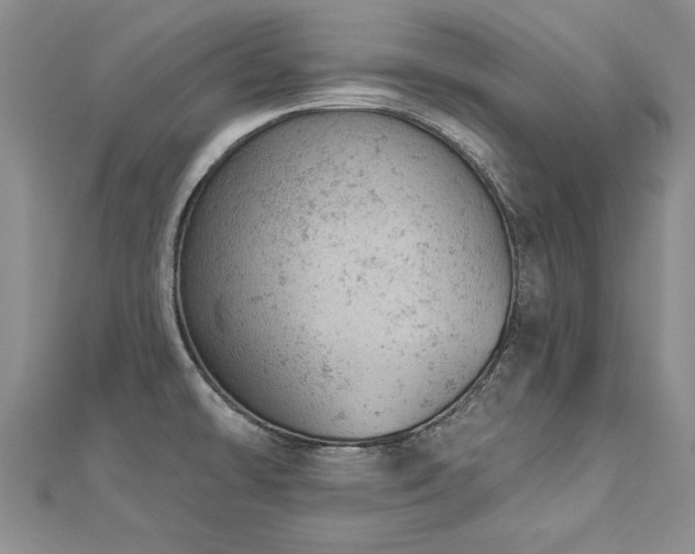 X0000112781478200908201518