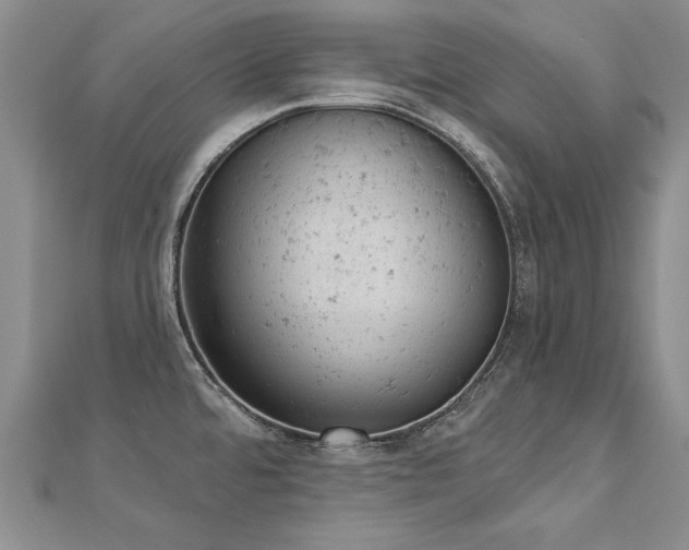 X0000112781480200908201518