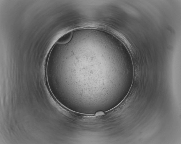 X0000112781483200908201518