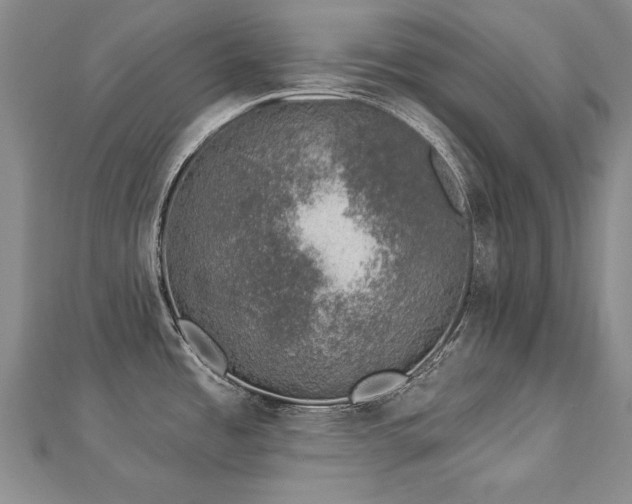 X0000112781485200908201518