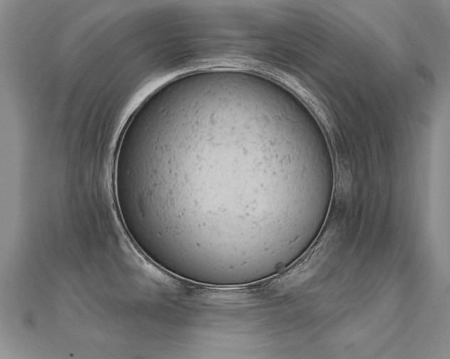 X0000112781486200908201518