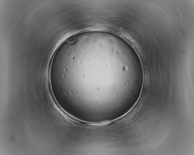 X0000112781487200908201518