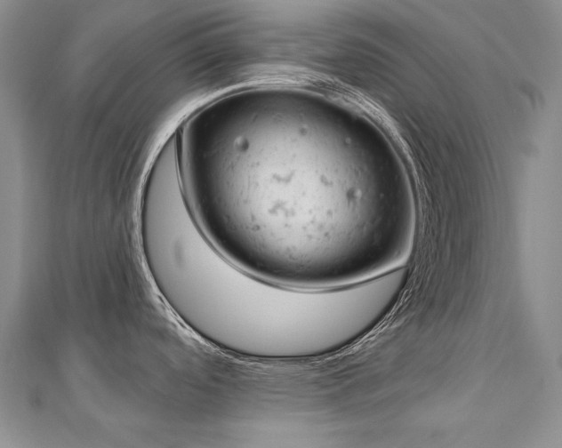 X0000112781488200908201518