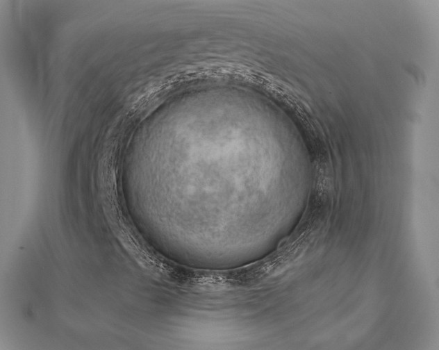 X0000112781489200908201518